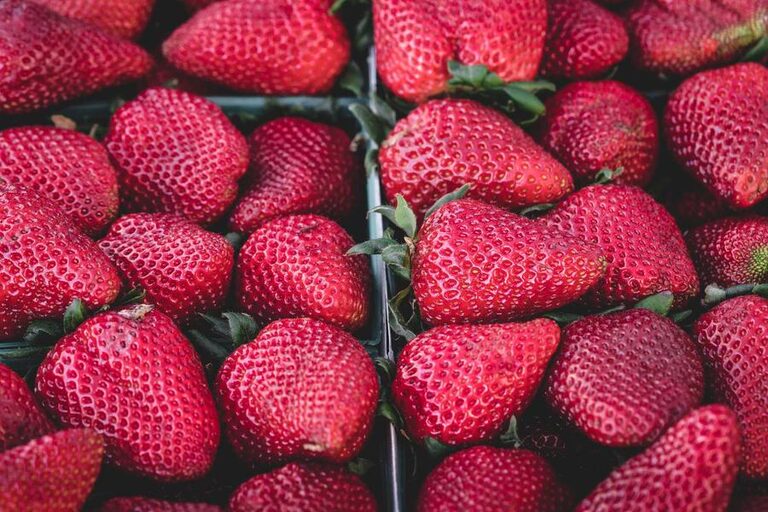 Naturalne sposoby na przyjemny zapach w całym domu